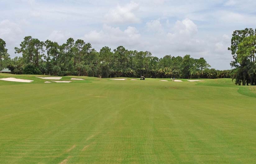 Golf Club Of The Everglades