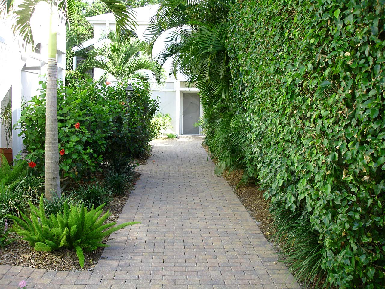 Arbors Walkway