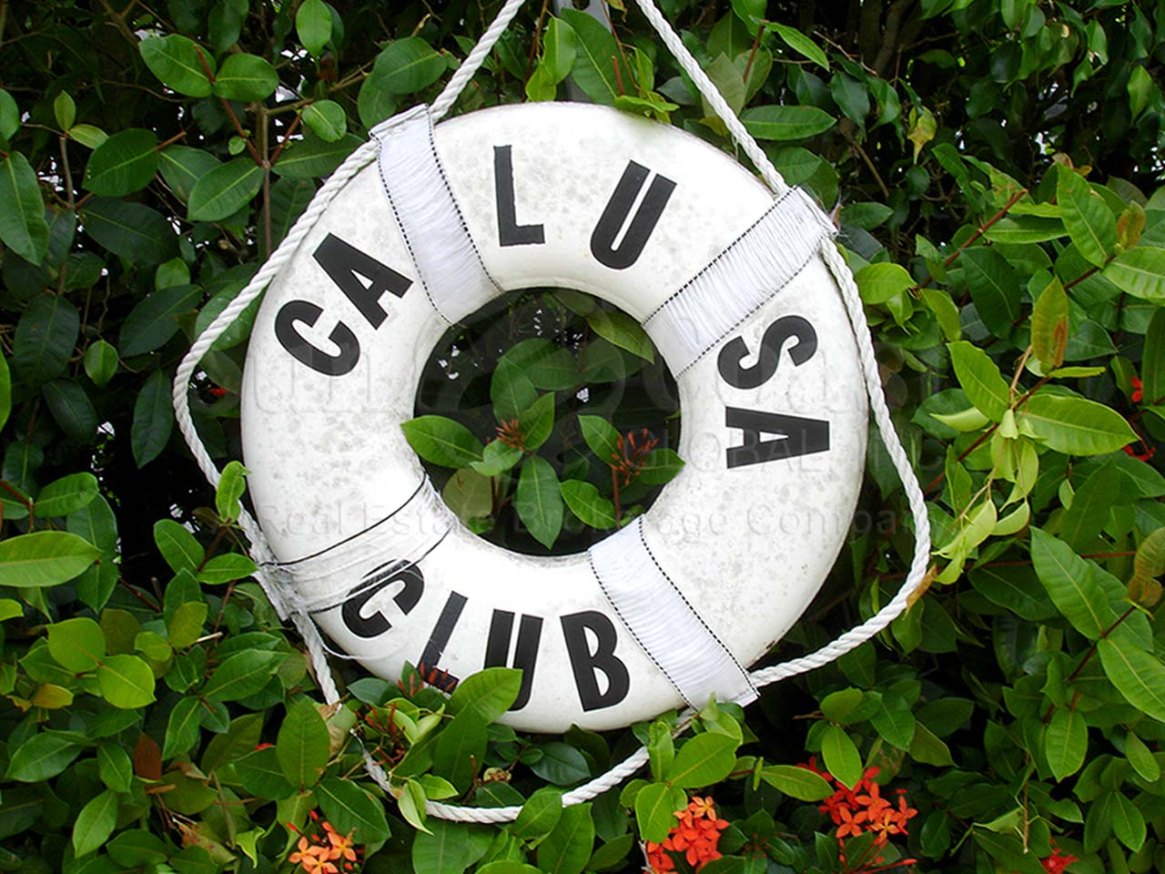 Calusa Club