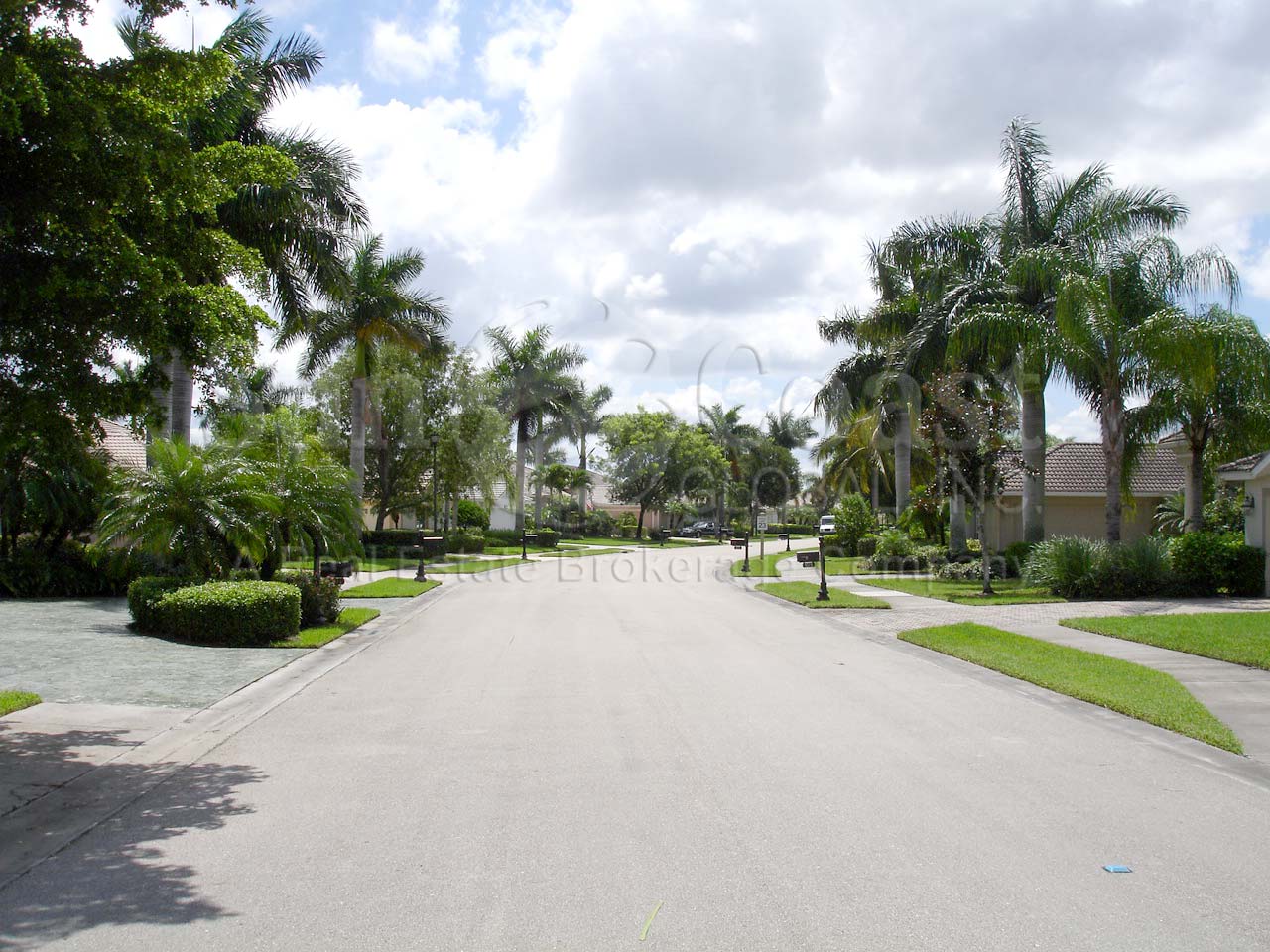 Cedar Hammock Estates consists of single family homes with tile roofs