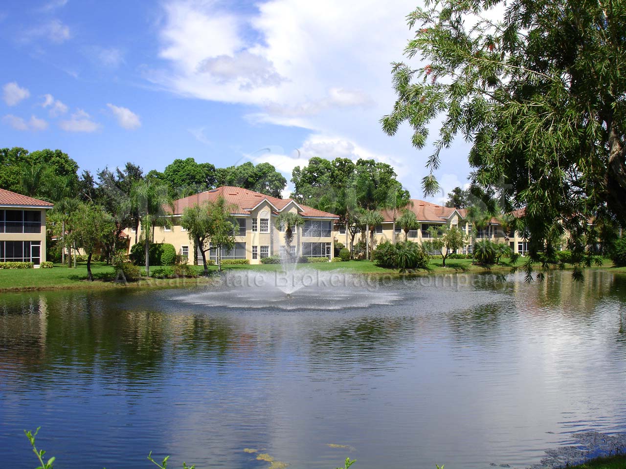 Clubside Reserve lake view