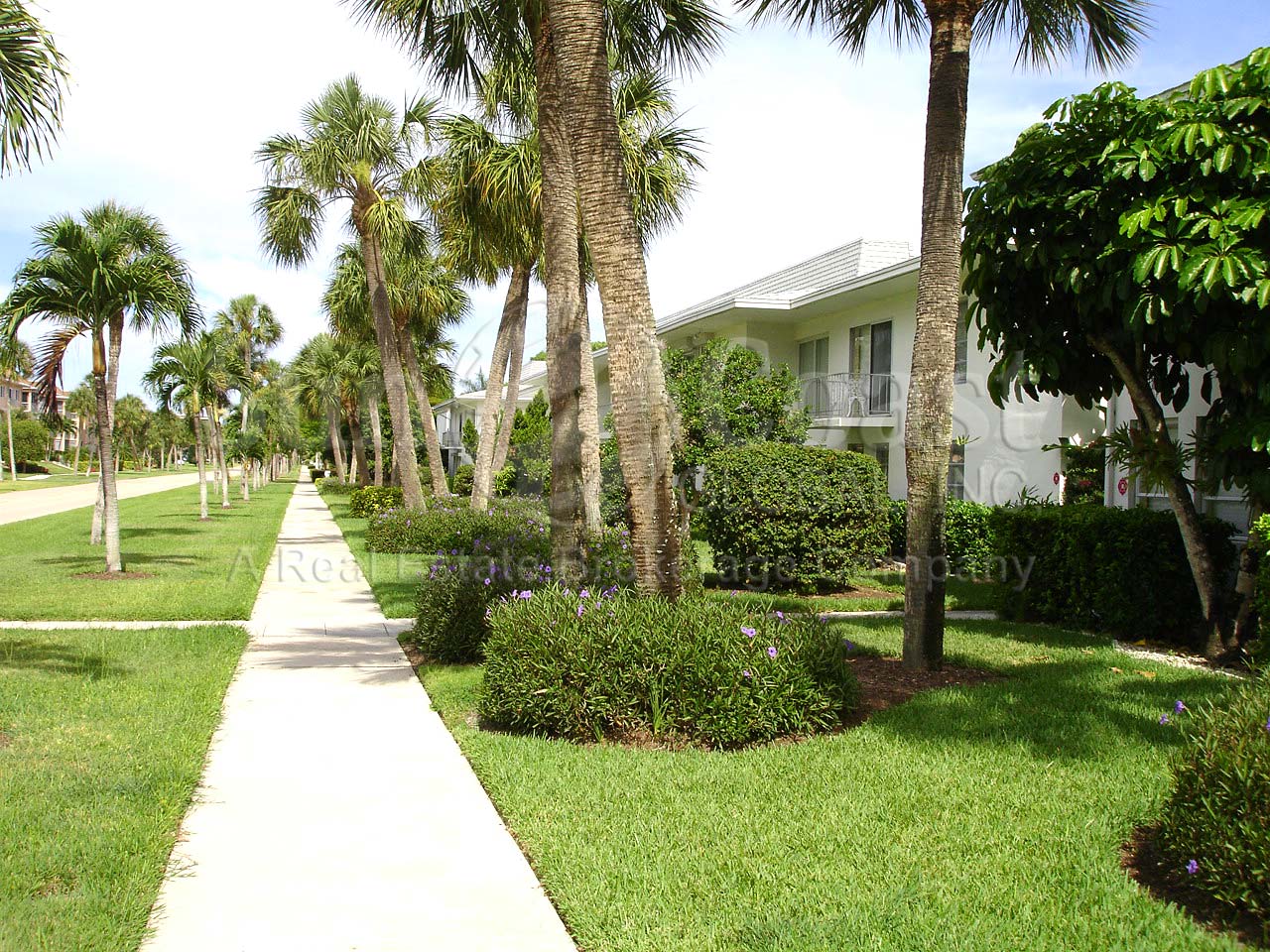 Everglades Club Walkway