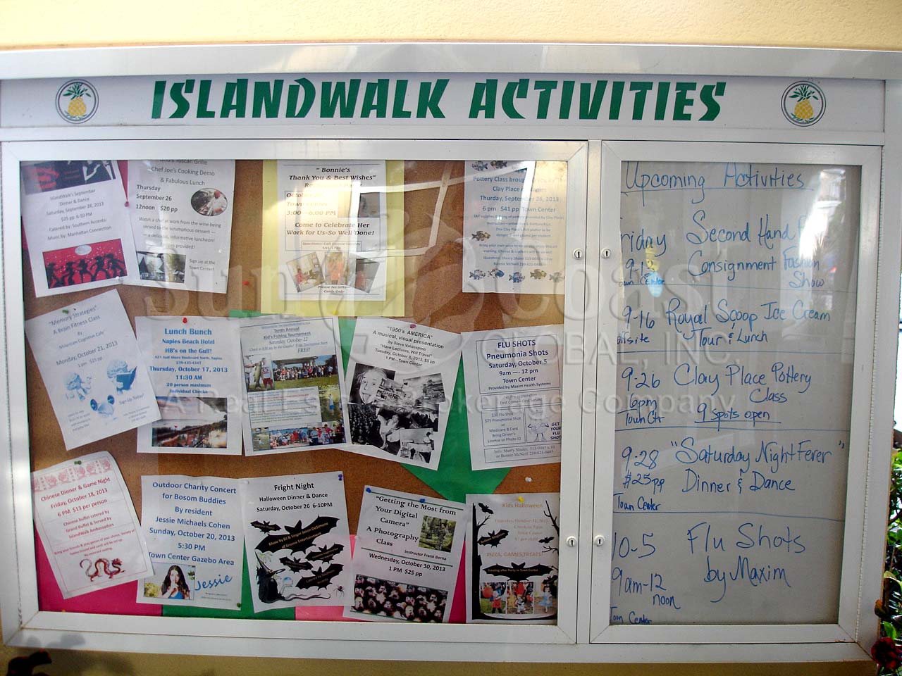 ISLAND WALK Activities Board