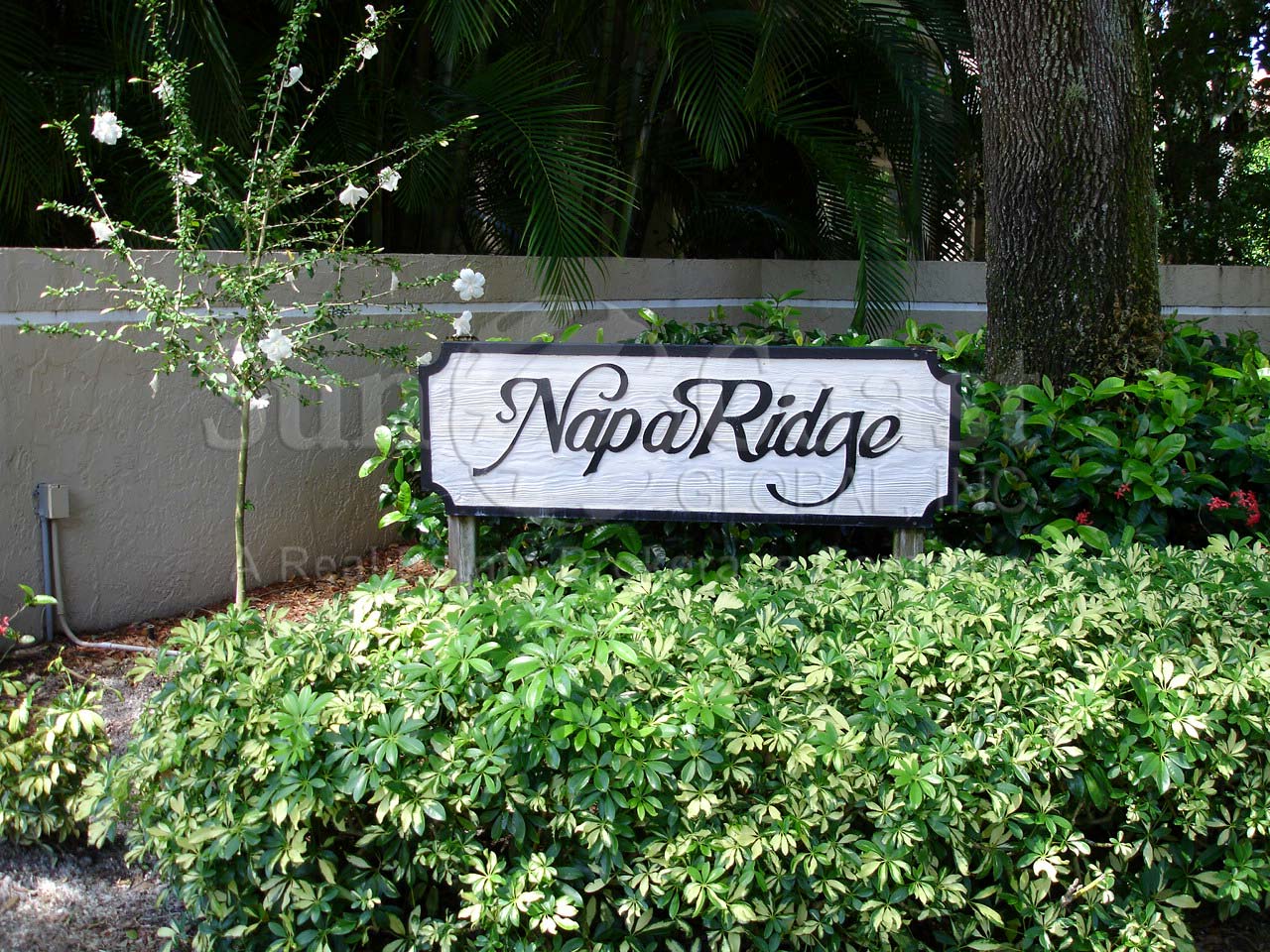 Napa Ridge signage