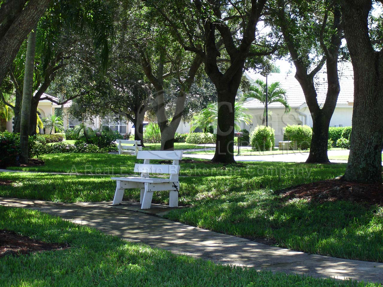 Oak Colony park view