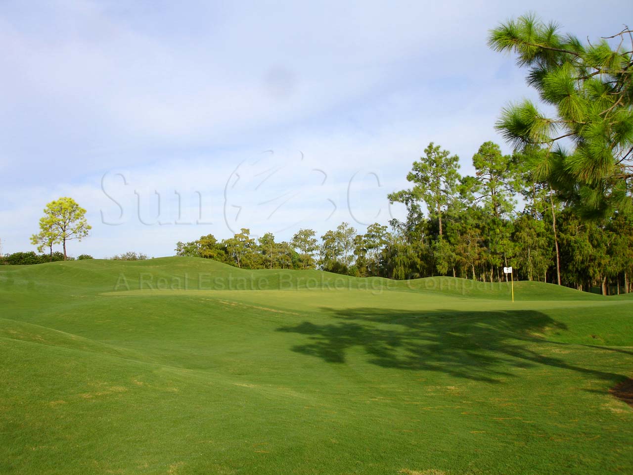OLDE CYPRESS Golf Course