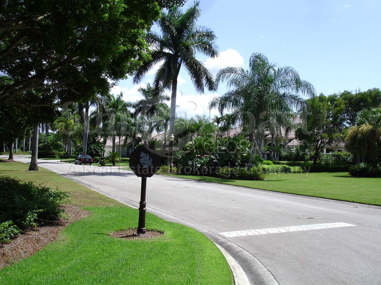 Palm Island neighborhood