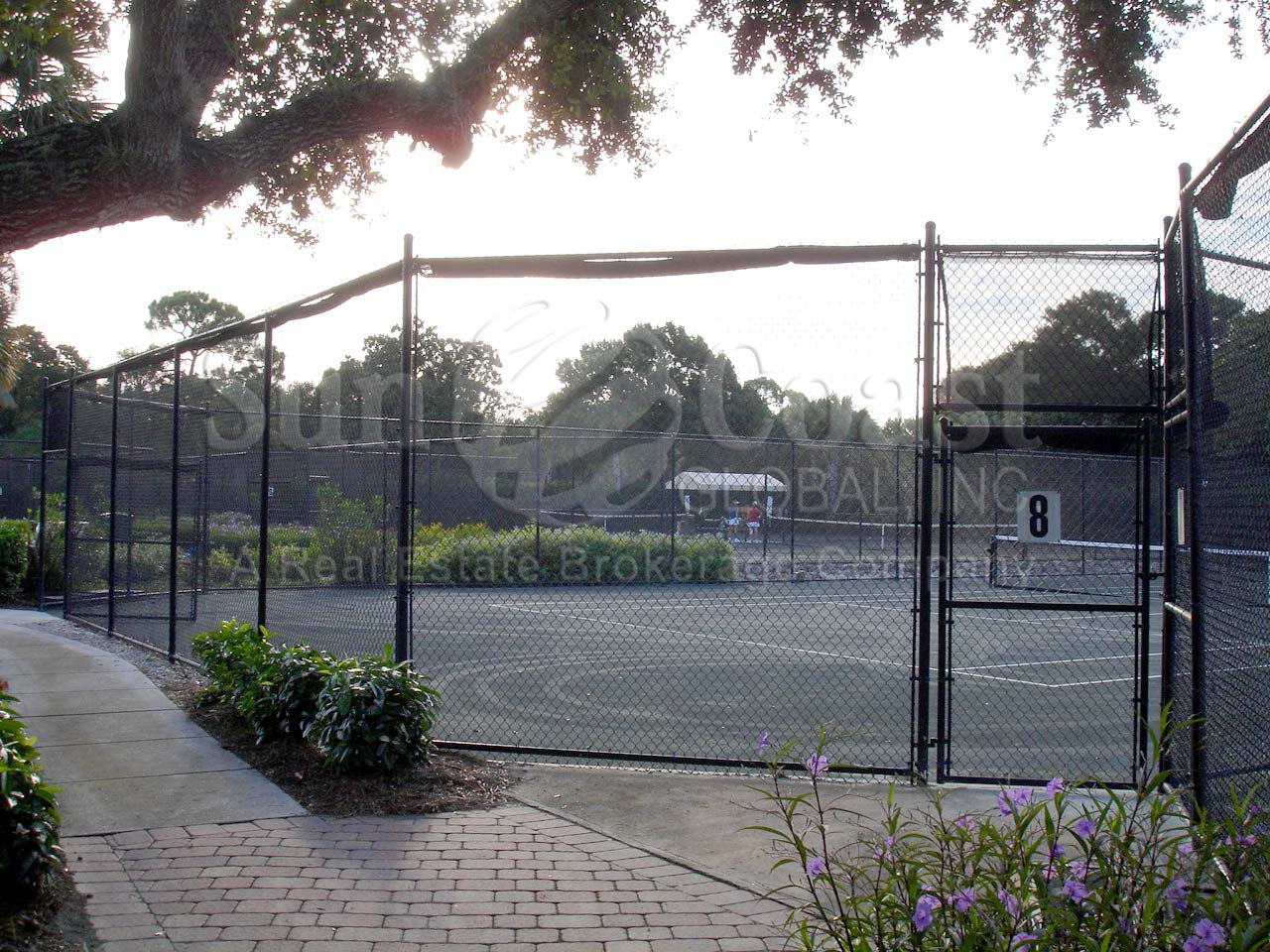 PELICAN BAY Commons tennis courts