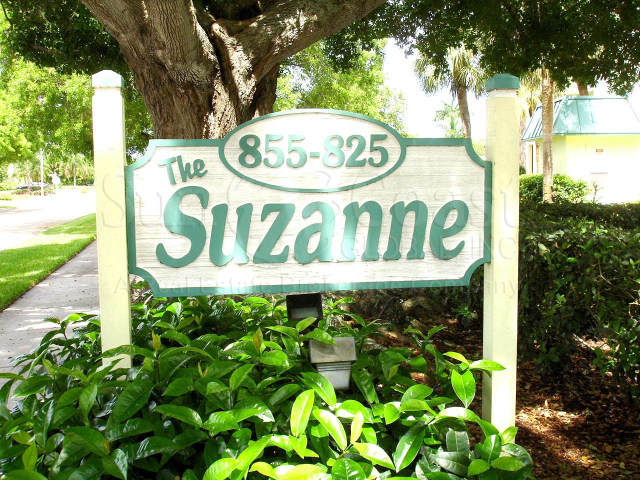 Suzanne Signage