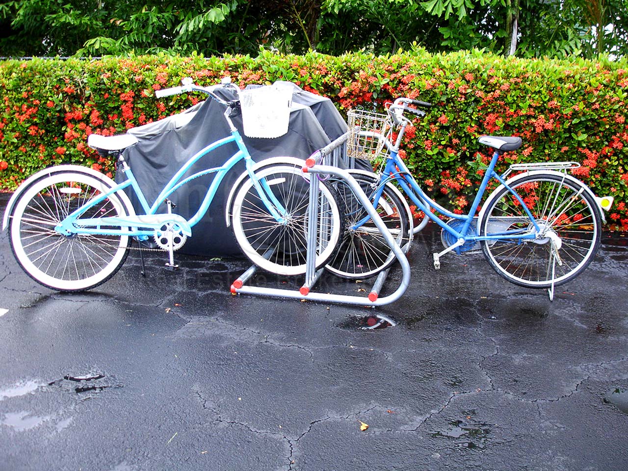Fairfield Of Naples Bike Rack