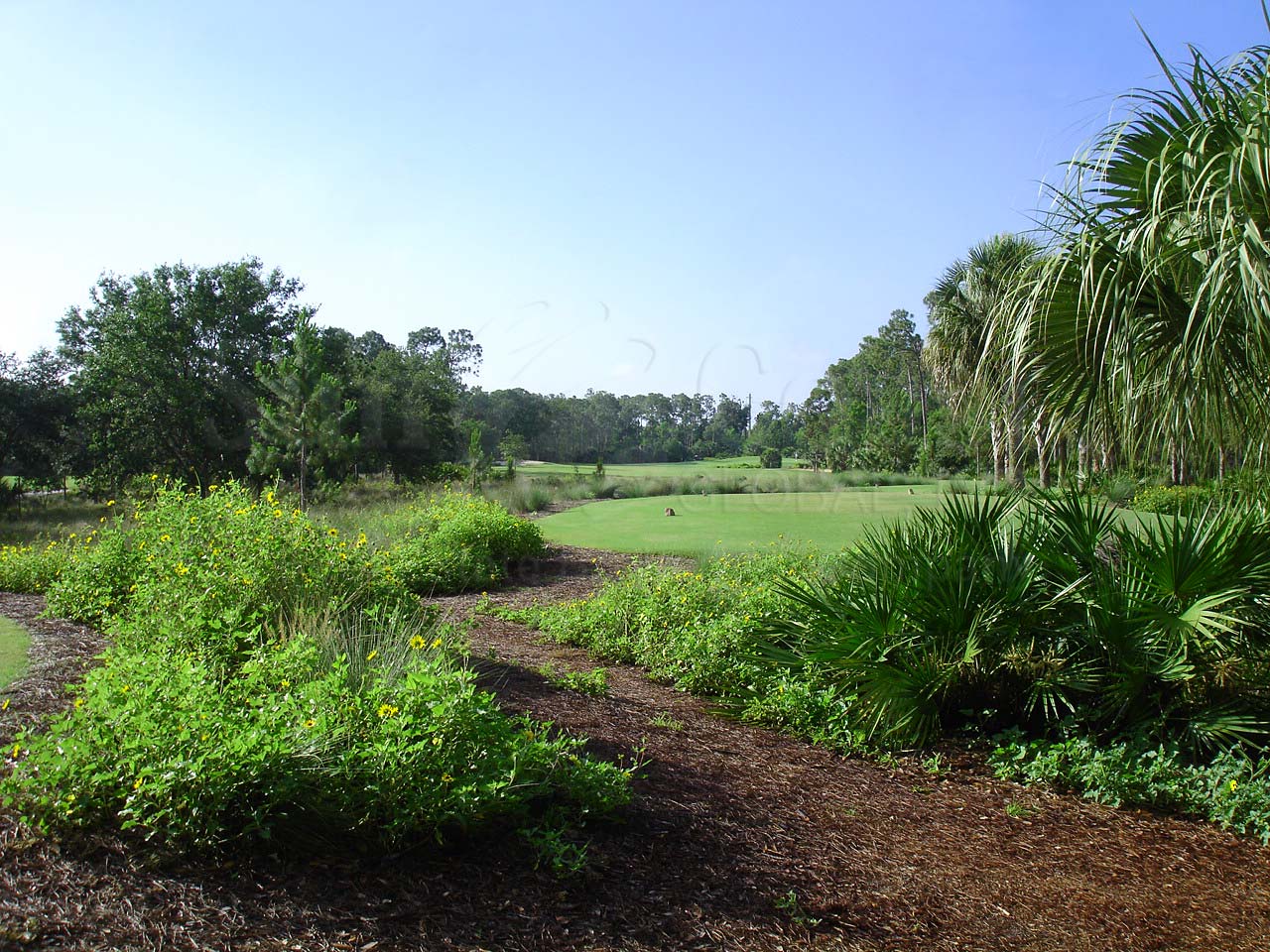 TIBURON View of Golf Course