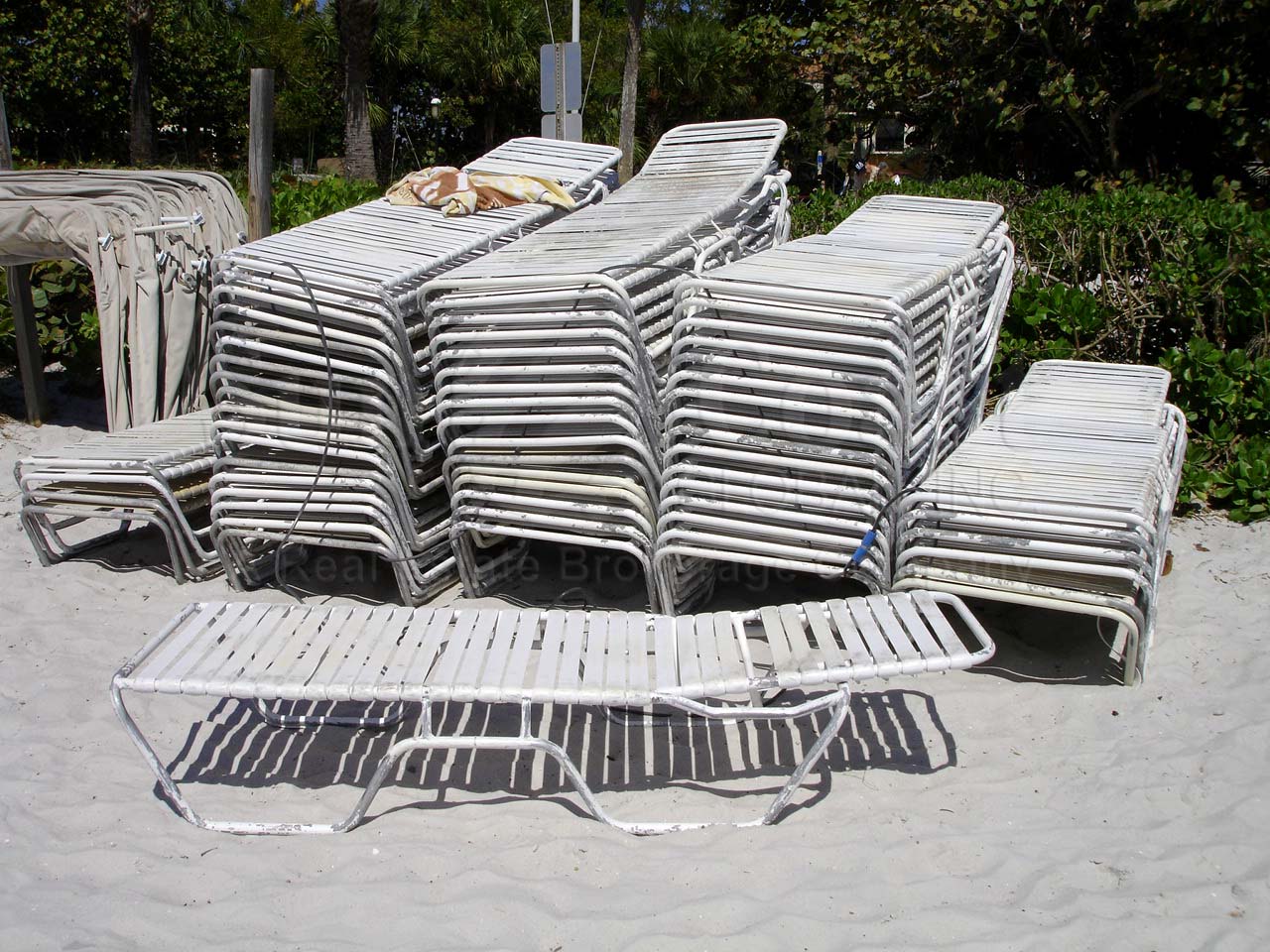 VANDERBILT BEACH Chairs