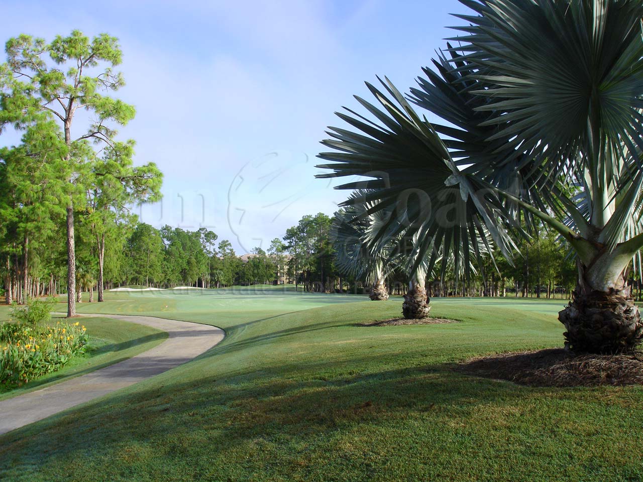 SINGLE FAMILY HOMES At VANDERBILT COUNTRY CLUB Real Estate NAPLES 