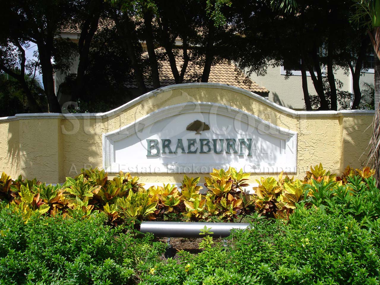 Braeburn 